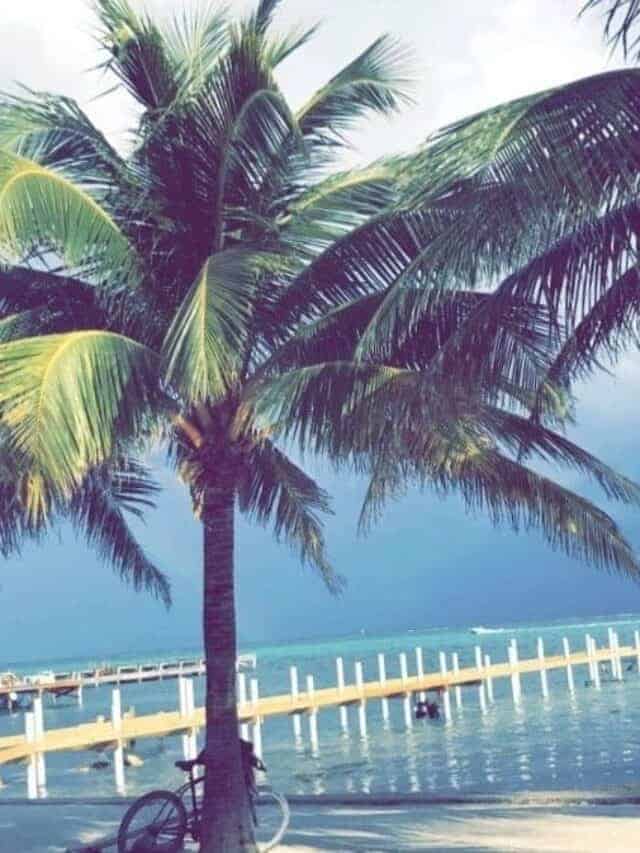 Amazing Things to do in Belize That Will Have You Going Back