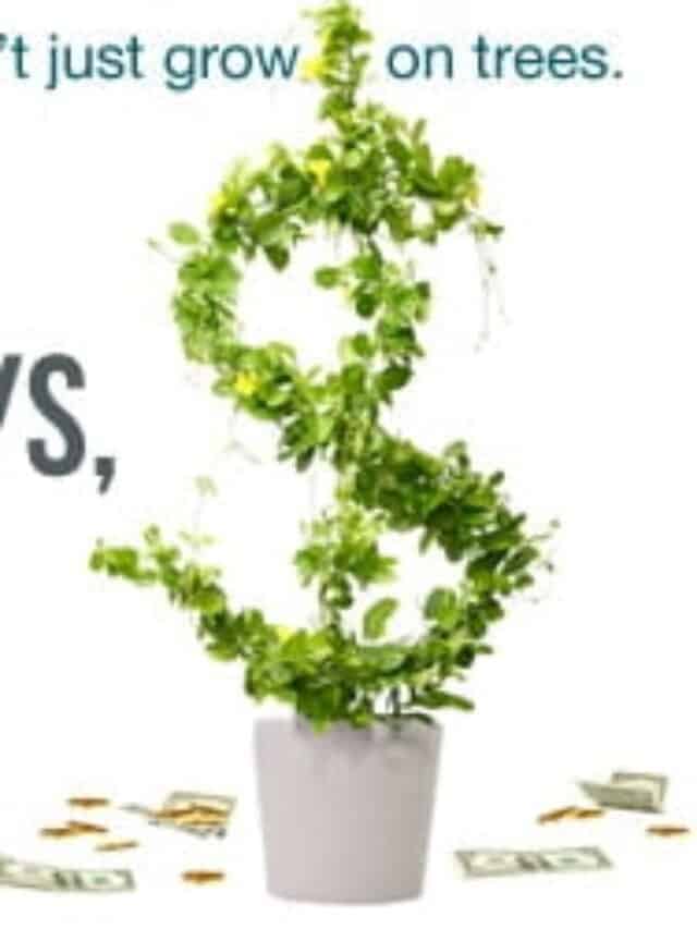 4 spending habits you need