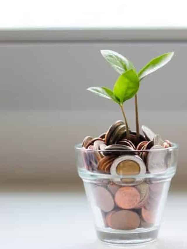 What Are The Best Investments Right Now? Story