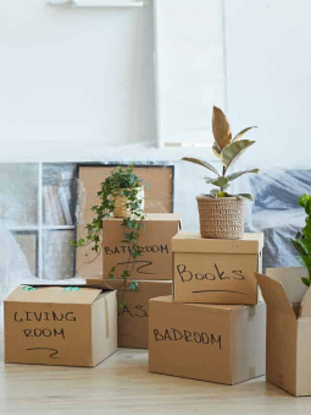 Moving Tips To Make the Process Less Stressful