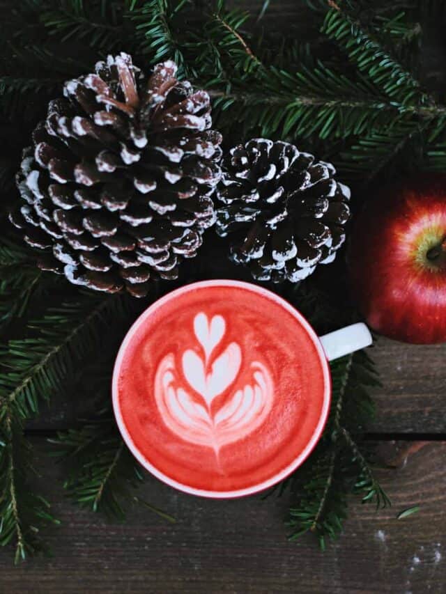 Holiday Diet Tips: 5 Ways to Maintain Your Weight