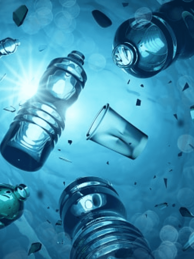 12 Ways to Reduce Your Plastic Footprint