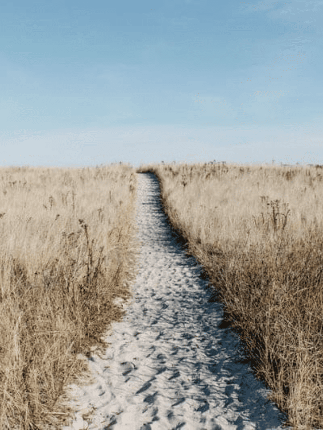 In Life, How To Travel Off The Beaten Path Story