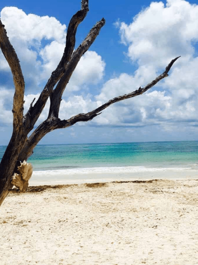 Incredible Things to do in Tulum You Can’t Miss