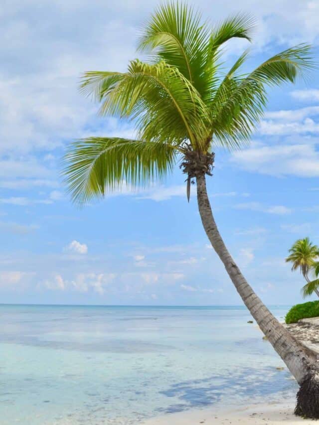The 10 Best Caribbean Islands to For Vacation