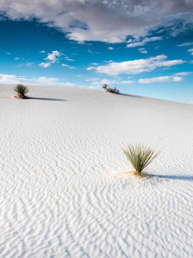 13 Cant-Miss Things to Do in New Mexico