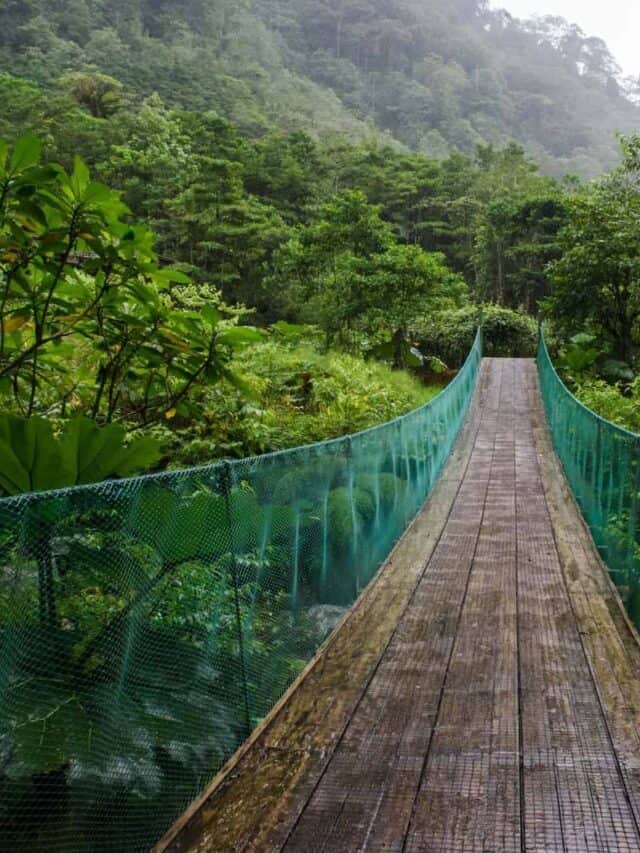 Ranked! Best National Parks to Visit In The US This Summer