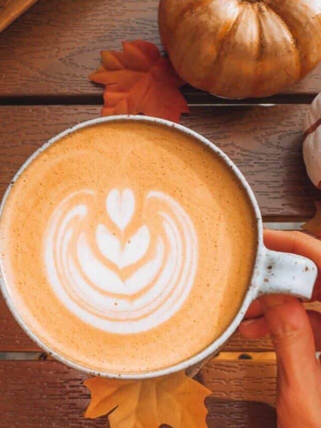 Homemade PSL Recipe. All the Flavor, Half the Price