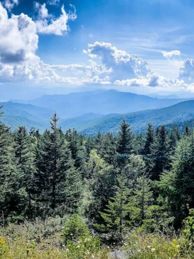 Best Places to Visit in The Great Smoky Mountains