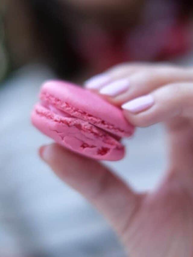 14 French Food  Delicacies You Must Try