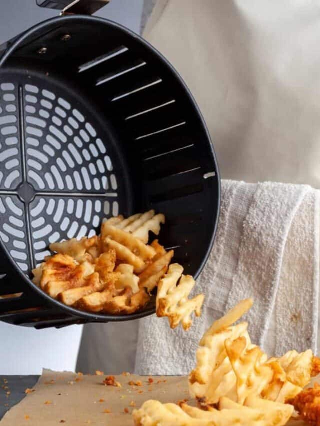 20 Easy Air Fryer Recipes