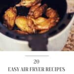 20 Easy Air Fryer Recipes for Beginners 2 20 Easy Air Fryer Recipes for Beginners