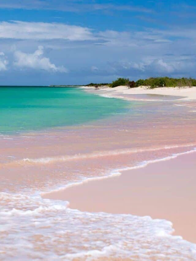 14 Pink Sand Beaches to Visit At Least Once